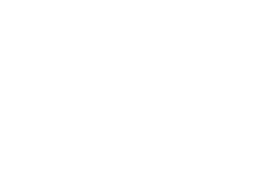 Viettel Shared Services